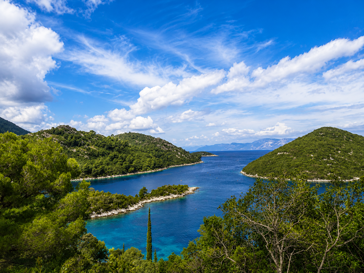 Wooded coves of Mljet